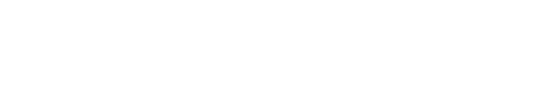 Doogee